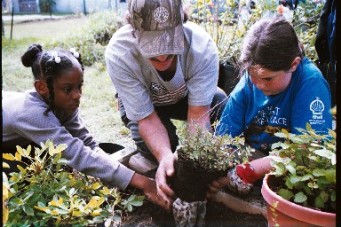 garden volunteers